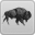 Big Bison Co.