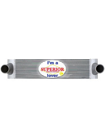 New Flyer Bus Charge Air Cooler - 1E5958