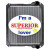 Case / IH Tractor Radiator - Fits: MX100, MX110, MX120, MX135, MX150
