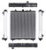 Kubota Tractor Radiator - 211196